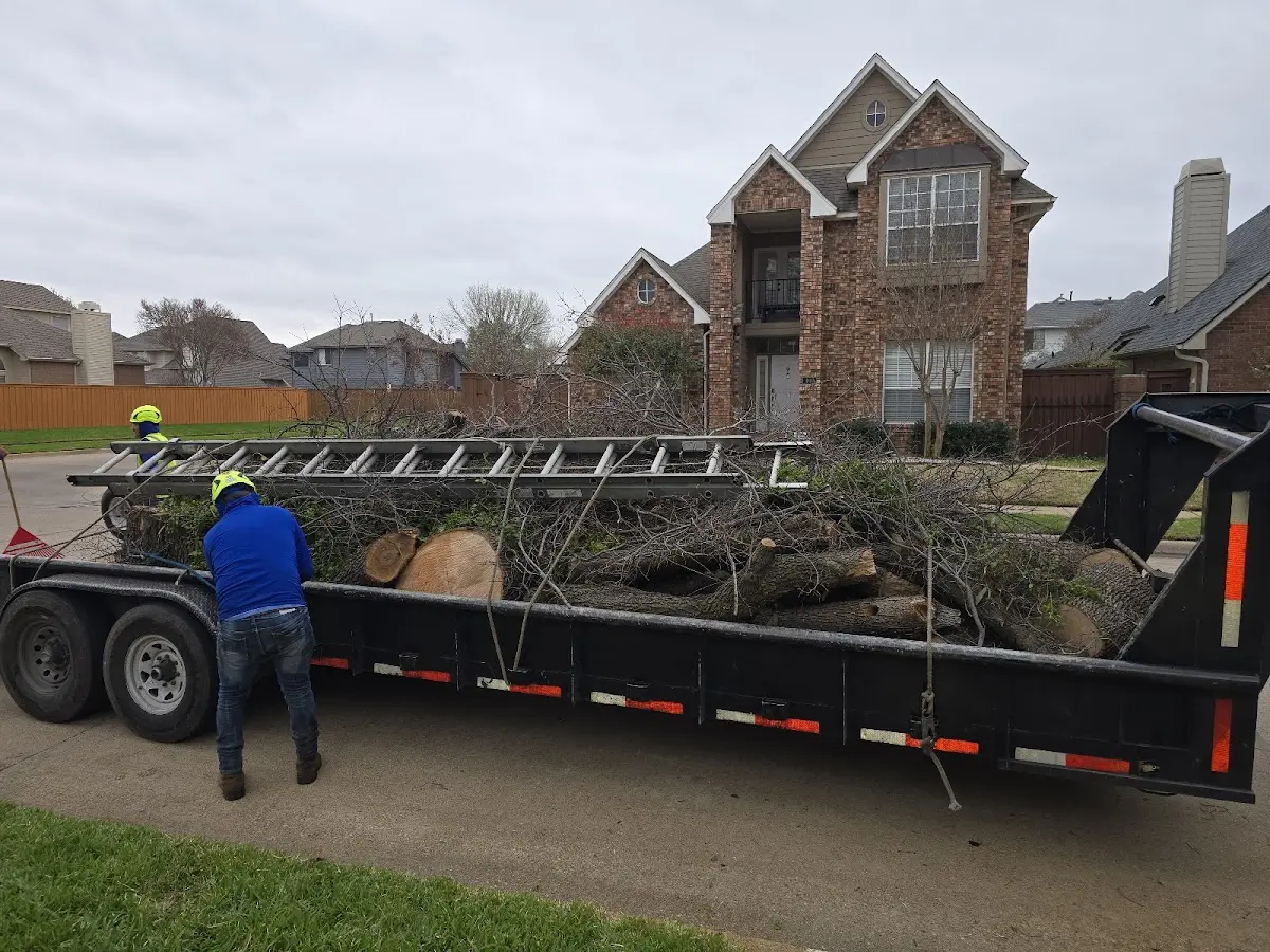 Expert Tree Fertilization with proper safety equipment in Canyon City